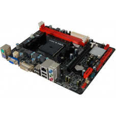Used Motherboard Biostar A58MD (sFM2+, 4xSATAII, 2xDDR3, PCI-e x16, VGA, DVI, mATX)