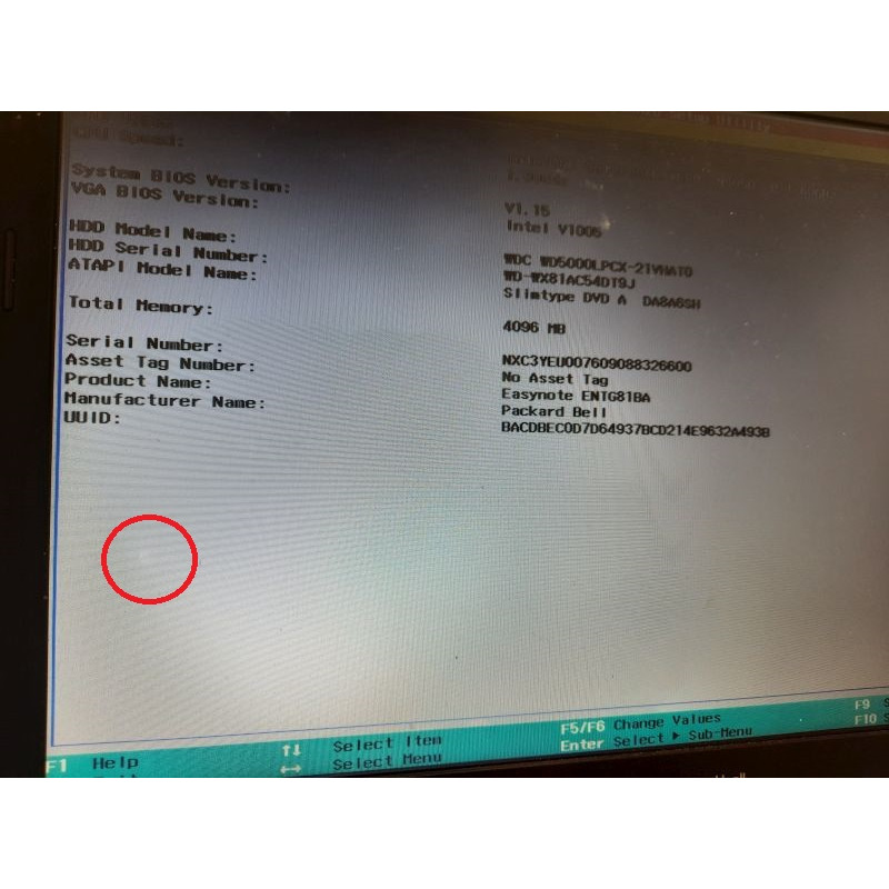 Used Matrix (display) 15.6" InnoLux N156BGE-E32 (1366x768, 30pin eDP, bottom right, vertical tabs
