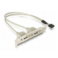 Перехідник Gembird 9pin to 2 x USB 2.0 (CCUSBRECEPTACLE) з кріпленням