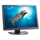 БУ Монітор 19" CCFL TN, Lenovo L1940, 1440x900, 16:10, 5мс, VGA, DVI (L1940pwd)