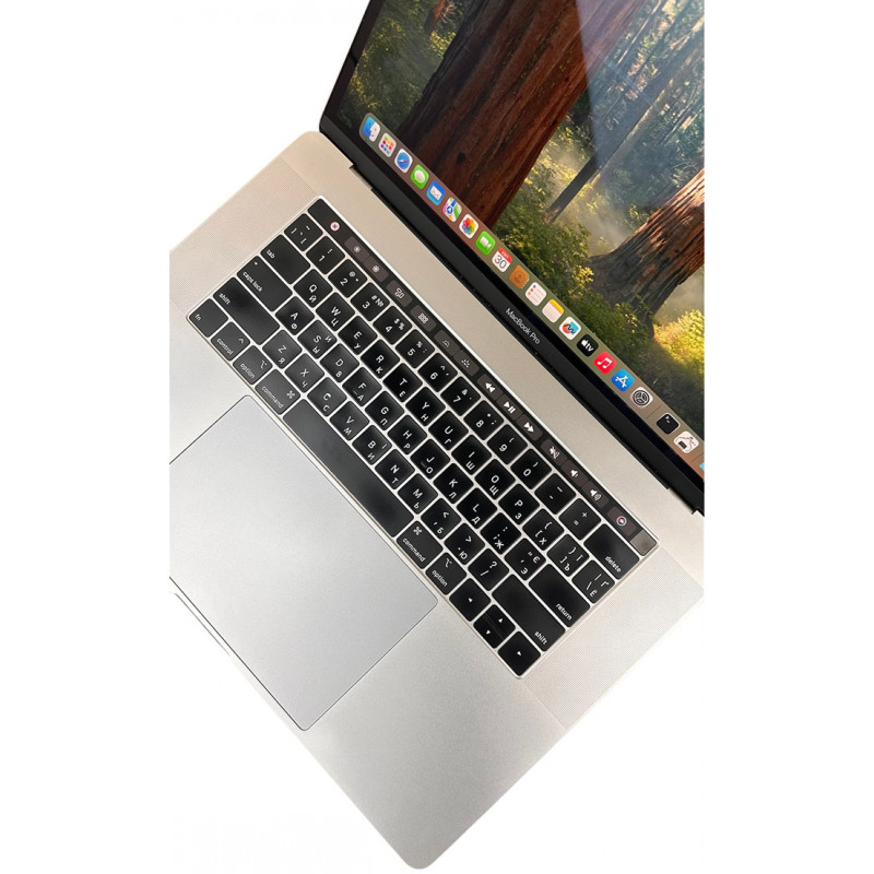 Laptop 15.4" Apple MacBook Pro 2018 (A1990), Core i7-8750H, 16GB DDR4, Pro 555X (4GB), 256GB SSD