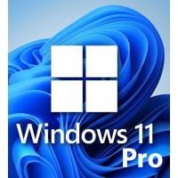 Installing the test OS Windows 11 Pro (x64)
