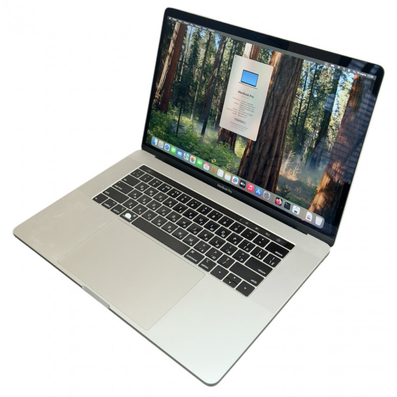 БУ Ноутбук 15.4" Apple MacBook Pro 2018 (A1990), Core i7-8750H, 16GB DDR4, Pro 555X (4ГБ), 256GB SSD