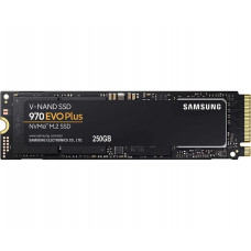 Used SSD drive 250 GB Samsung 970 EVO Plus (M.2, V-NAND (MLC), NVMe, MZ-V7S250)